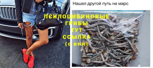 соль ск Балабаново