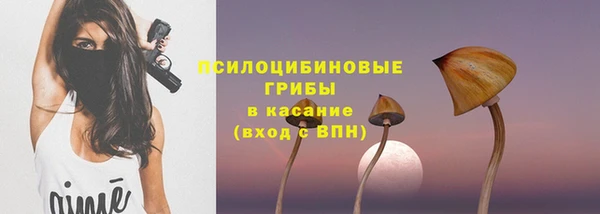 соль ск Балабаново
