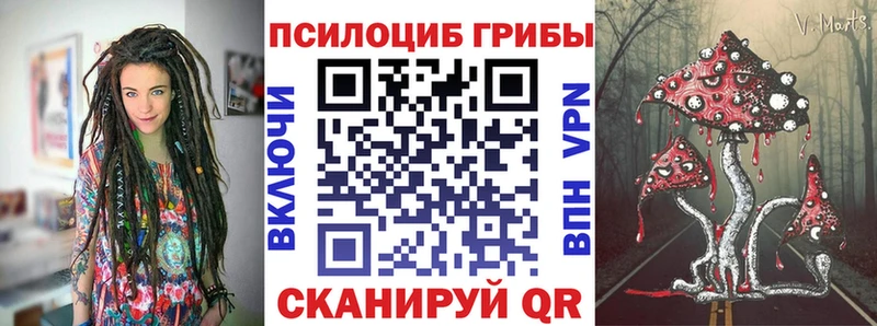 Псилоцибиновые грибы Cubensis  Сосновоборск 